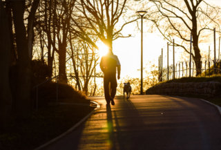After-Work Hours at Marienberg, Ring
